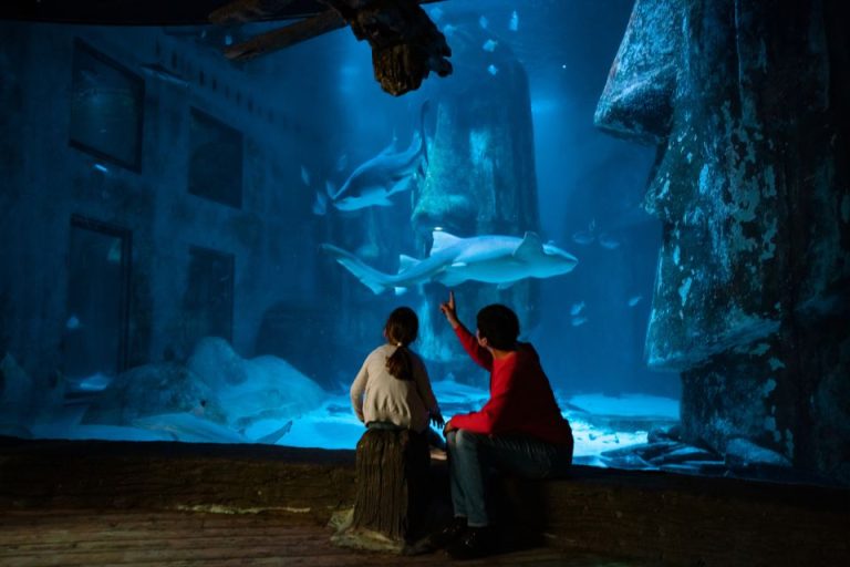 L'Acquario di Londra