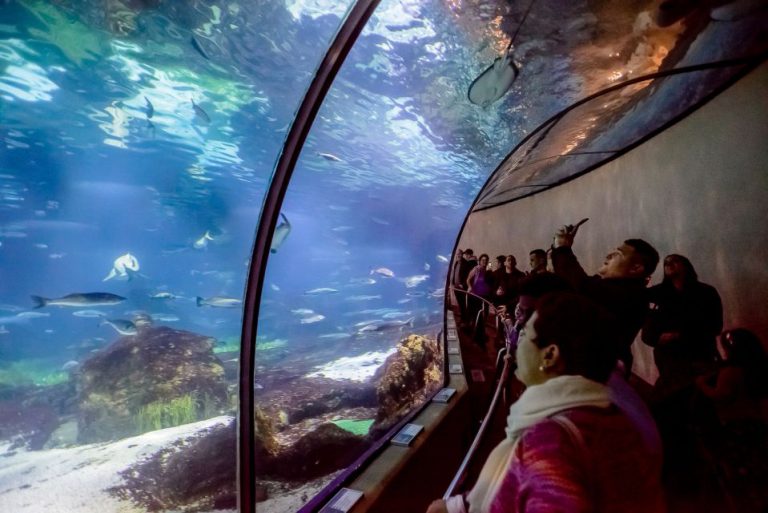 Acquario di Barcellona