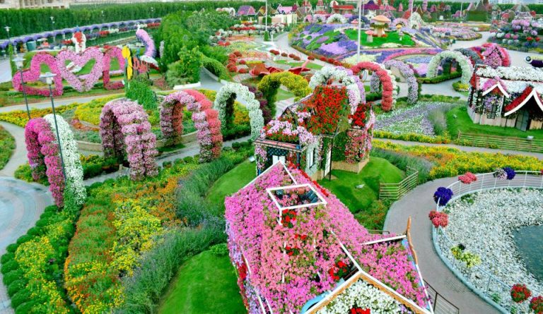 Dubai Miracle Garden