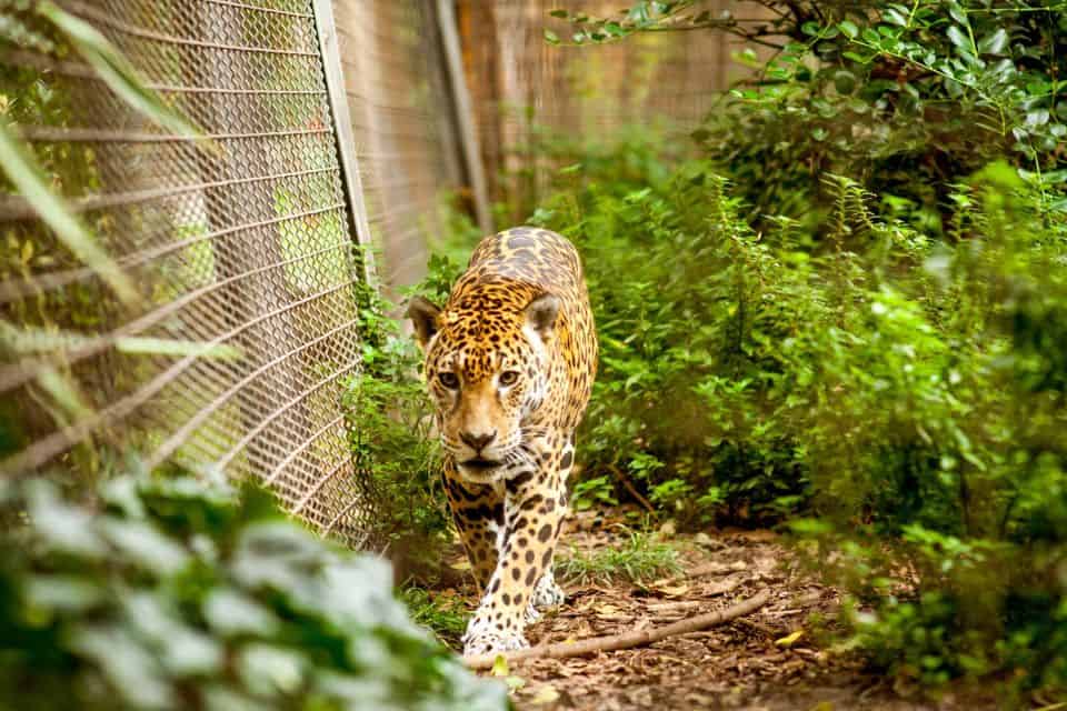 Zoo de Barcelona