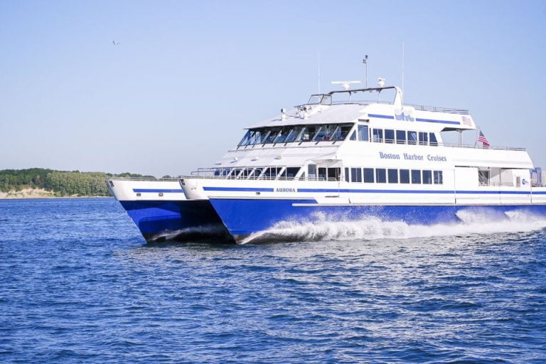 Boston: Whale Watching Catamaran Cruise