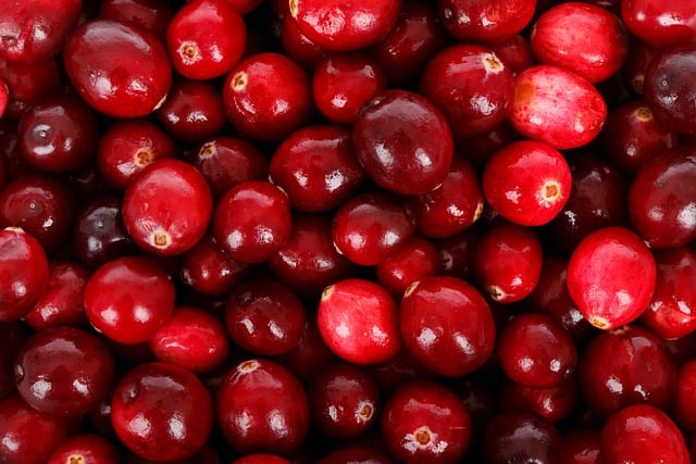 יי קרנברי (Cranberry Isles) מיין