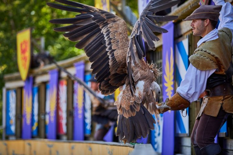 Puy du Fou