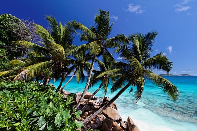 איי סיישל הם פנינה באוקיינוס ההודי, מקום בו הטבע פורח בכל פינה והשקט הוא אורח חיים