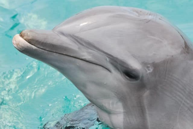 SeaWorld San Diego