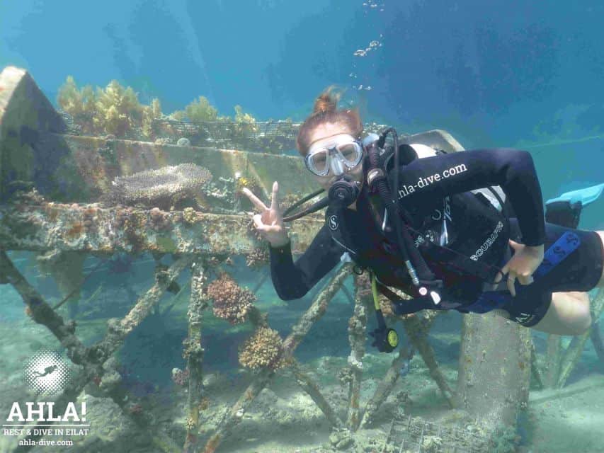 Eliat: Introduction to Scuba Diving