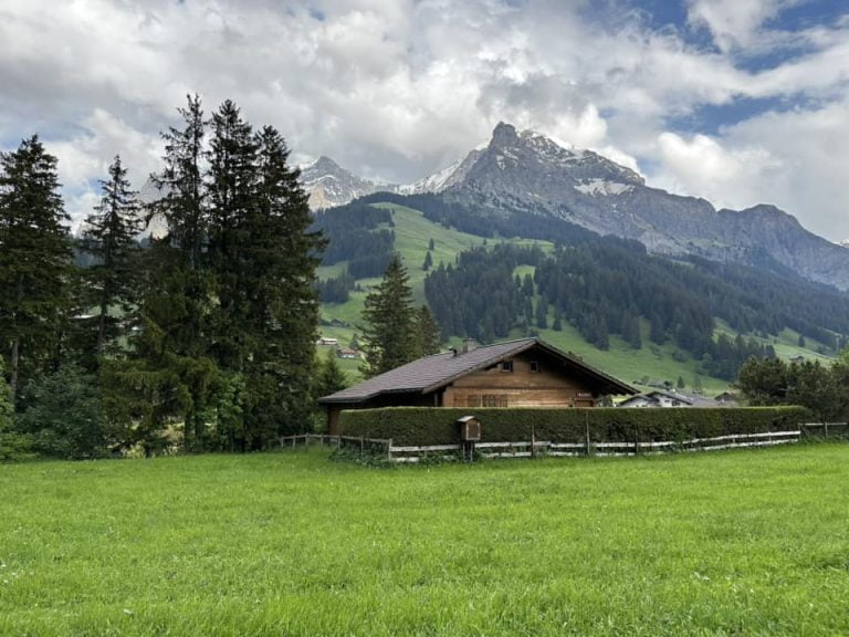 Itinerario nel Greenwald Svizzera