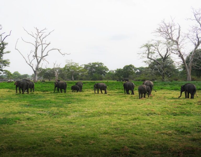 Sri Lanka