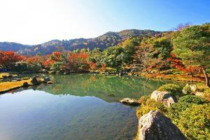 Kyoto: Immersive Arashiyama & Fushimi Inari by Private Car